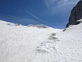 028_Piz Palue_Juni_2014